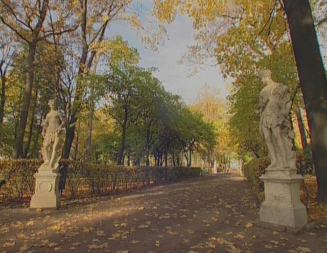 Летний сад: зеленые насаждения